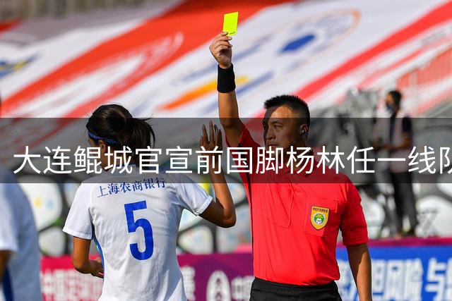 大连鲲城官宣前国脚杨林任一线队主帅 接替张耀坤