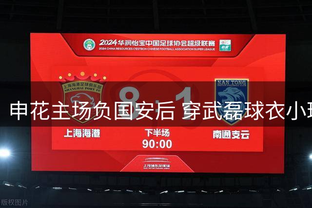申花主场负国安后 穿武磊球衣小球迷遭遇不愉快 球员发文寻人