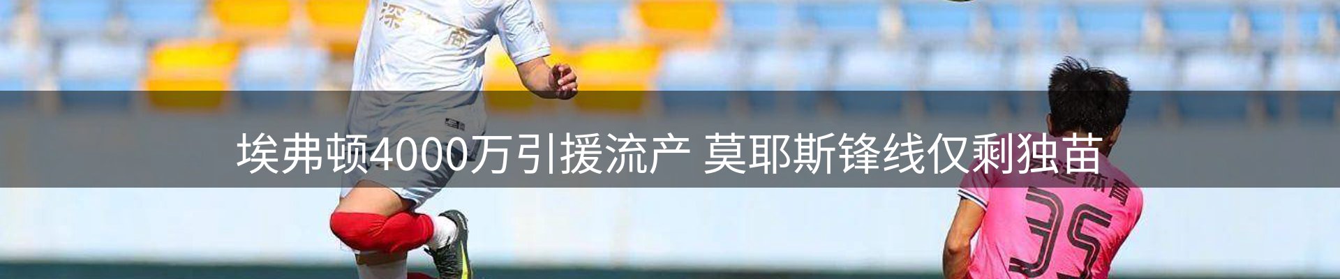 公司视点