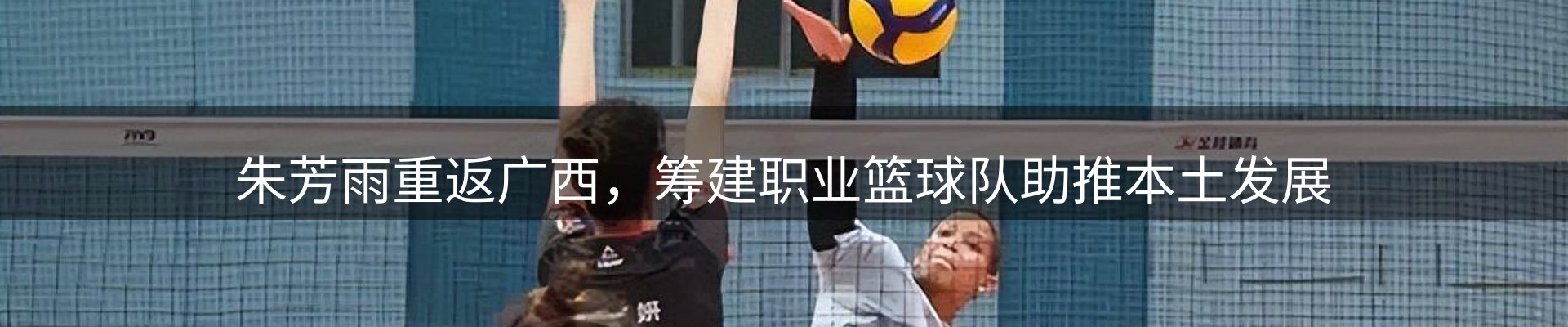 公司视点